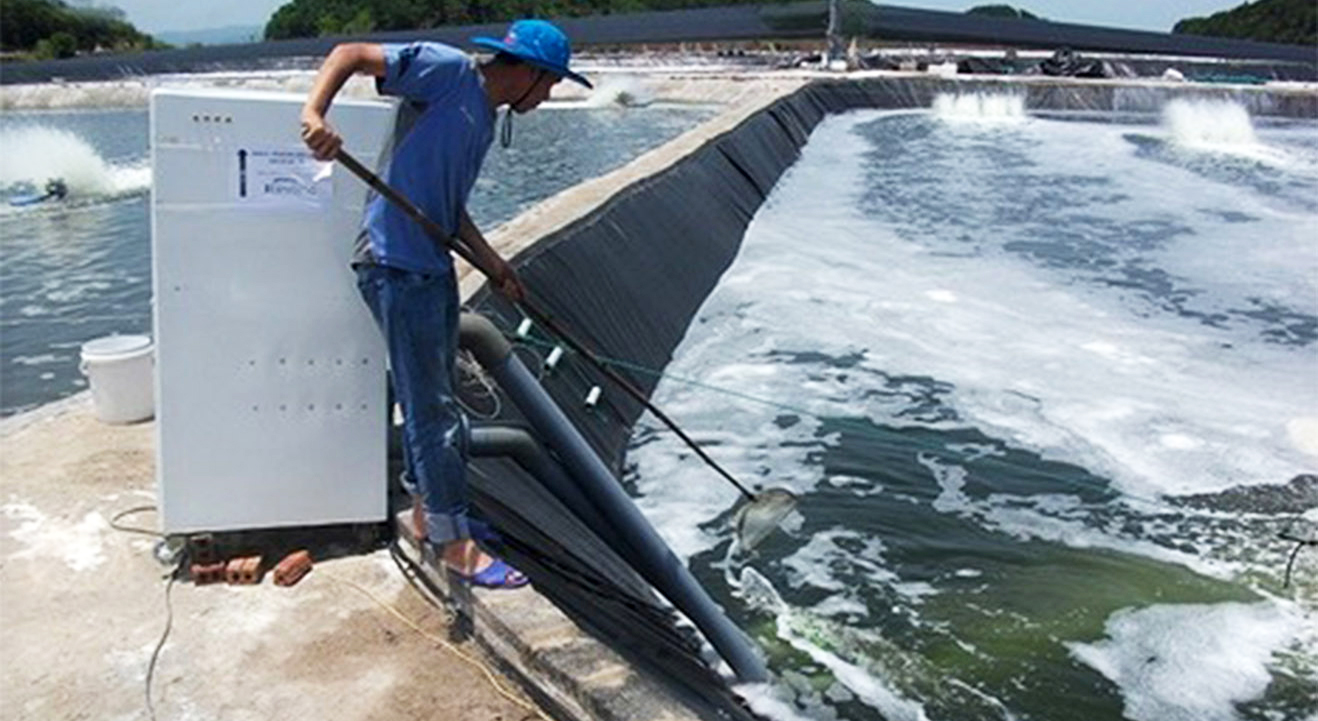 Máy thổi khí được ứng dụng trong nuôi thủy sản