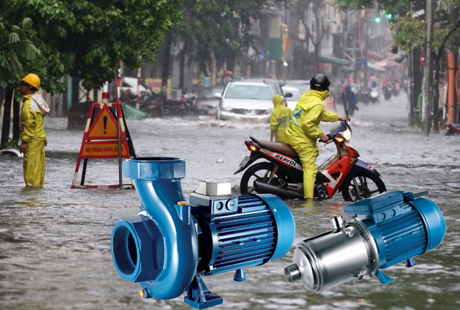 Bơm trục ngang Pentax được ứng dụng để thoát nước