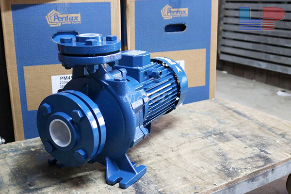 Bơm trục ngang Pentax: Bảng giá mới nhất 2023