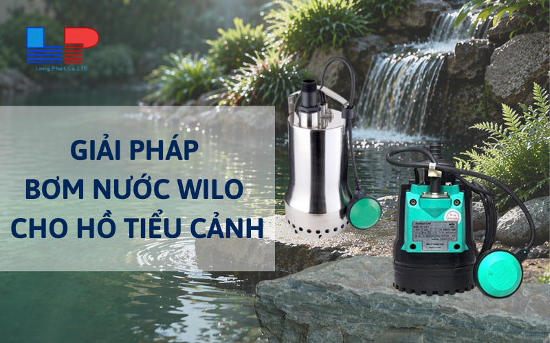 Giải pháp bơm nước cho hồ tiểu cảnh hiệu quả, tiết kiệm điện